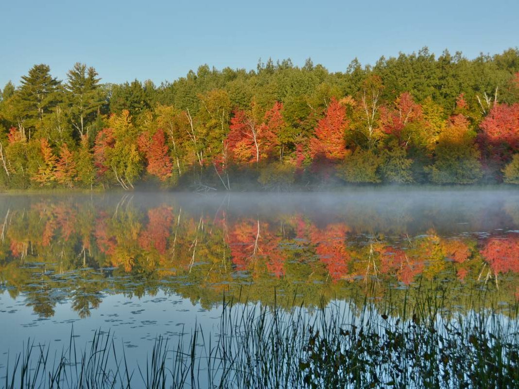 Clam Lake, Wisconsin Vacation Rental | Cabin for Rent | Pine Point